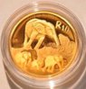R 10 GOLD.jpg