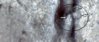 feather1.jpg