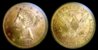 1881-S Five Dollar Gold Collage.jpg