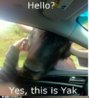 funny-animal-captions-yakety-yak.jpg