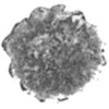 1-frac12---Bits-back.jpg