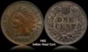 1902 Indian Head Cent small photo.jpg