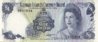 liz1dollarcaymanD.jpg