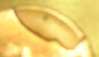 penny 2 002.JPG