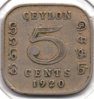 Ceylon - 5 Cents - 1920 - KM #108 - Rev.jpg