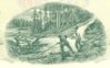 BABN 88 calendar logging cu.jpg