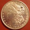 1879 morgan for grading.jpg