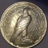 1922 peace dollar new 2.jpg