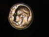 dime flower 003.JPG