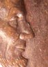 100_6920 - Copy.JPG