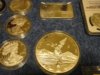 DSC01662.jpg
