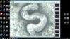 1926 s 6over7 mercury dime.jpg
