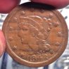 large cent woodie.jpg