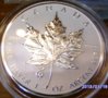 new  2013 coins 003.jpg