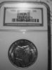 DSC00542.jpg