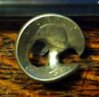 1959 D quarter target practice obv.jpg