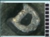 1936 D,D DOUBLE DIE MERCURY DIME 1.DD.jpg