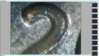 2009 double die 2.jpg