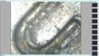 2009 double die u.jpg