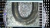2009 double die.jpg
