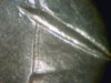 cpm_1887_V12_TOP100_Alligator_Eye.jpg