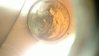 WP_20130124_004.jpg