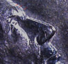 1sr1996D-O-foreheadprofilearrows.jpg
