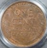 1920-D PCGS R.JPG