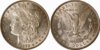 1879 S Morgan.jpg