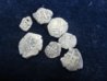 Spanish New World Silver Cobs.jpg