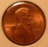 1984 D large o.JPG