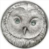 mongolia2011owl.jpg