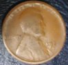 DSC00514.jpg