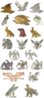 SchweitzCommemsEaglesFunPatternsFiles_081.jpg