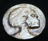 Skull F.jpg