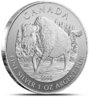 Canadian-Silver-Bison.jpg