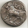 bull siglos a.jpg