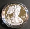 2013 ASE Proof Obv 3.jpg
