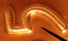 TRI5551.jpg