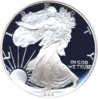 1995w-s1-pr69dcam-pcgsgal.jpg