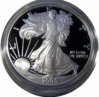2005PFDCAM.jpg