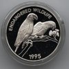 parrot1.jpg