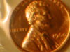 Dscn5250.jpg