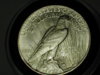 Dscn7151.jpg