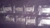 2013-02-08_20-21-30_461.jpg