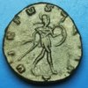 Aureolus 1 REV.jpg