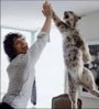 high five 3.jpg