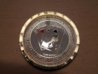 DSC01252.jpg