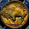 1916 Buff PCGS 004.jpg