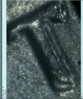 2004Pfloridastatehooddoublediereversequarter28.jpg
